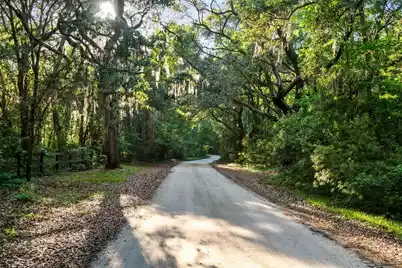 3566 Bohicket Estates Drive, Johns Island, SC 29455 - Photo 10