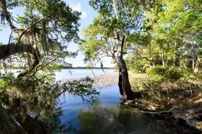 3566 Bohicket Estates Drive, Johns Island, SC 29455 - Photo 26
