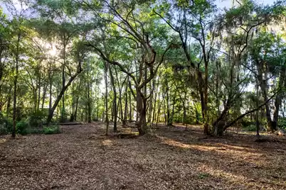 3566 Bohicket Estates Drive, Johns Island, SC 29455 - Photo 12