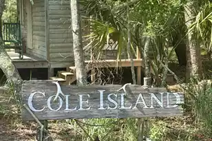 0 Cole, Folly Beach, SC 29439 - Photo 1