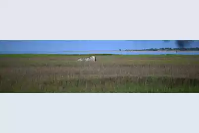 0 Cole, Folly Beach, SC 29439 - Photo 10