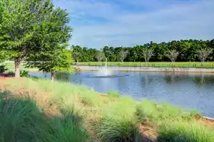 214 Warbler Way, Summerville, SC 29483 - Photo 72