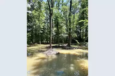 110 Poplar Grove Road, Cope, SC 29038 - Photo 36