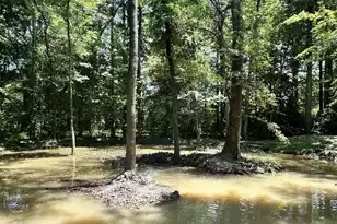 110 Poplar Grove Rd, Cope, SC 29038 - Photo 36