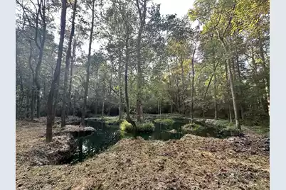 110 Poplar Grove Road, Cope, SC 29038 - Photo 32