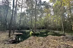 110 Poplar Grove Rd, Cope, SC 29038 - Photo 32