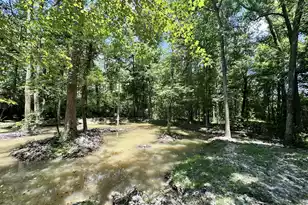 110 Poplar Grove Rd, Cope, SC 29038 - Photo 34