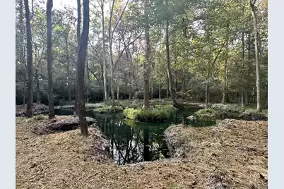 110 Poplar Grove Road, Cope, SC 29038 - Photo 34