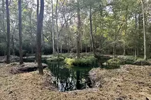 110 Poplar Grove Rd, Cope, SC 29038 - Photo 34