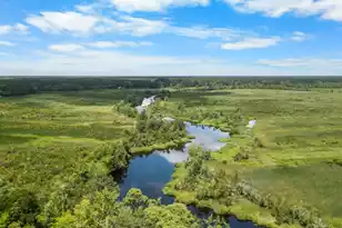 589 Back Field Rd, Walterboro, SC 29488 - Photo 6