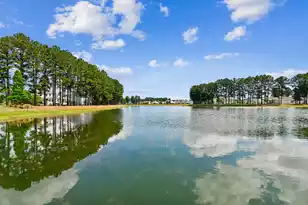 212 Calm Water Way, Summerville, SC 29486 - Photo 46