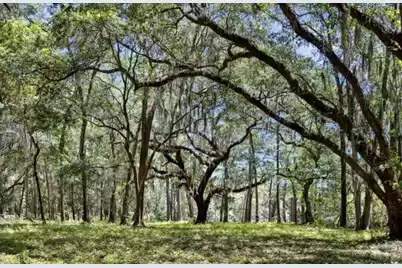 7767 Chaplin Garden Lane, Edisto Island, SC 29438 - Photo 1
