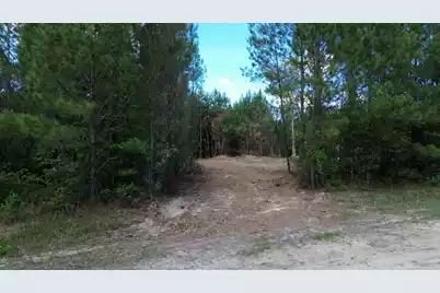 4 Highway 311, Cross, SC 29436 - Photo 8