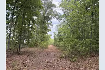 0 Varnadoe Road, Islandton, SC 29929 - Photo 10