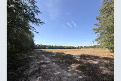 000 Cottage Lane, Saint Stephen, SC 29479 - Photo 12