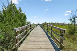 2736 McFadden Way, Johns Island, SC 29455 - Photo 54