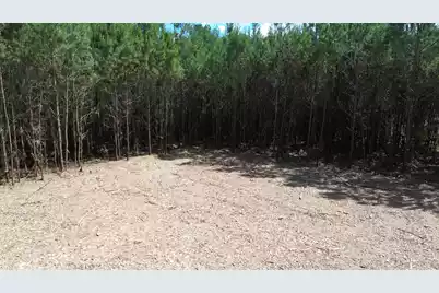 5 Highway 311, Cross, SC 29436 - Photo 10