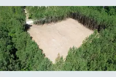 5 Highway 311, Cross, SC 29436 - Photo 6