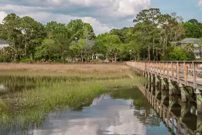 3158 Pignatelli Crescent, Mount Pleasant, SC 29466 - Photo 72