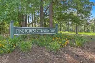 101 Horse Shoe Bay Ct, Summerville, SC 29483 - Photo 46