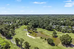 101 Horse Shoe Bay Ct, Summerville, SC 29483 - Photo 72