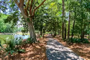 2660 Magnolia Woods Dr, Mount Pleasant, SC 29464 - Photo 92