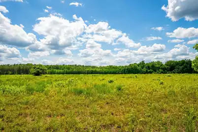 0 Rehoboth Road, Cottageville, SC 29435 - Photo 14