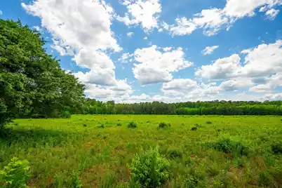 0 Rehoboth Road, Cottageville, SC 29435 - Photo 6