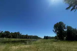 6900 US-278, Barnwell, SC 29812 - Photo 1