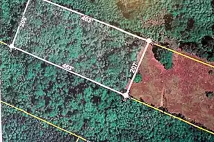0 Youngs Rd, Eutawville, SC 29048 - Photo 1