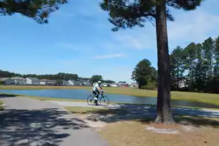 295 Shadybrook Dr Dr, Summerville, SC 29486 - Photo 22