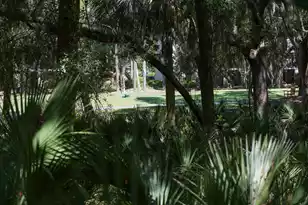 624 Double Eagle Trce, Seabrook Island, SC 29455 - Photo 6