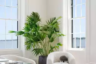 2 Water St, Charleston, SC 29401 - Photo 10