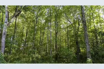 0 Botany Slopes Road, Piedmont, SC 29673 - Photo 14