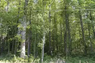 0 Botany Slopes Rd, Piedmont, SC 29673 - Photo 12