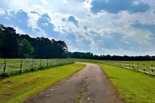 2221 Deadfall Rd W, Greenwood, SC 29649 - Photo 58