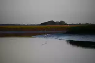 0 Cole Island, Folly Beach, SC 29439 - Photo 4