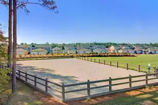 3413 Fairwater Pl, Mount Pleasant, SC 29466 - Photo 42