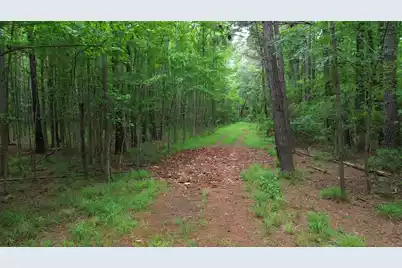 0 Pineview Farm Road, Lane, SC 29564 - Photo 2