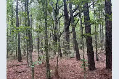 0 Pineview Farm Road, Lane, SC 29564 - Photo 6