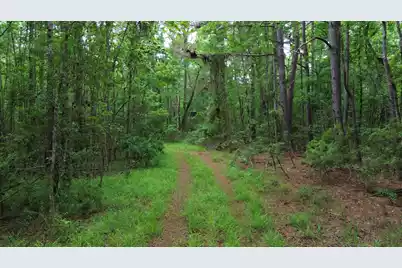 0 Pineview Farm Road, Lane, SC 29564 - Photo 16