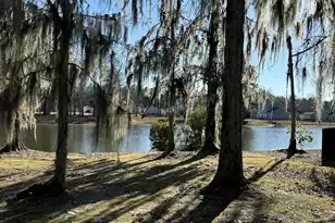 128 Pacolet St, Summerville, SC 29485 - Photo 6
