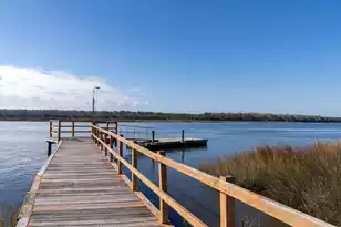 4433 Great Oak Dr, North Charleston, SC 29418 - Photo 38