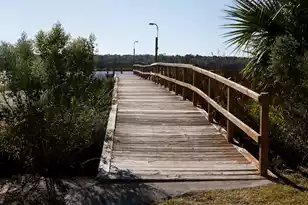 4433 Great Oak Dr, North Charleston, SC 29418 - Photo 48