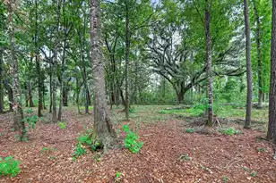 102 Teal Bluff Blvd, Seabrook, SC 29940 - Photo 52