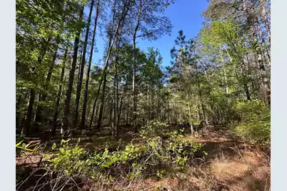 186 Lone Lane Drive, Cope, SC 29038 - Photo 20