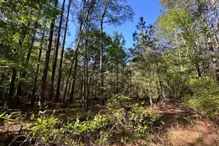 186 Lone Ln Dr, Cope, SC 29038 - Photo 20