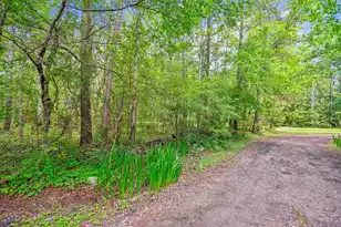 7089&7095 Parkers Ferry Rd, Adams Run, SC 29426 - Photo 82