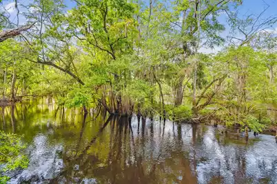 7089&7095 Parkers Ferry Road, Adams Run, SC 29426 - Photo 84