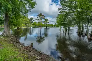1232 Longpoint Rd, Cross, SC 29436 - Photo 48